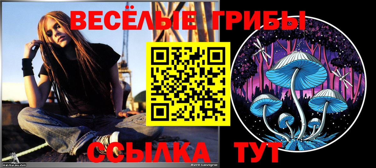 Псилоцибиновые грибы мицелий  Вход с VPN  Борисоглебск  Псилоцибиновые грибы GOLDEN TEACHER 