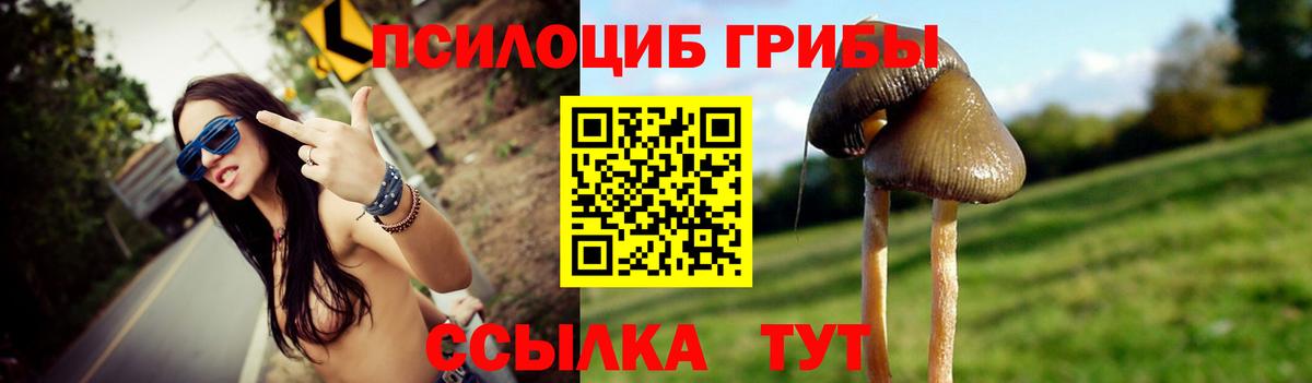Галлюциногенные грибы мухоморы Борисоглебск